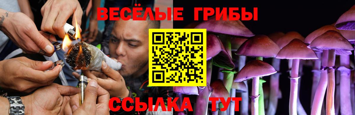 Псилоцибиновые грибы MAGIC MUSHROOMS Джанкой