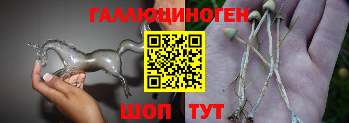 Псилоцибиновые грибы мицелий  Псилоцибиновые грибы GOLDEN TEACHER  Вход с VPN  Джанкой 